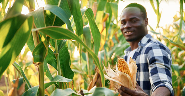 Business presentation on corporate meeting. Business presentation on corporate meeting.